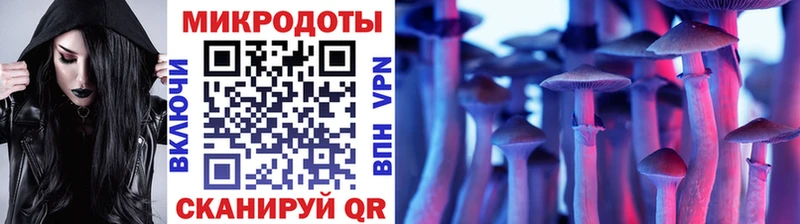 Псилоцибиновые грибы Psilocybine cubensis  Купить  Усмань 